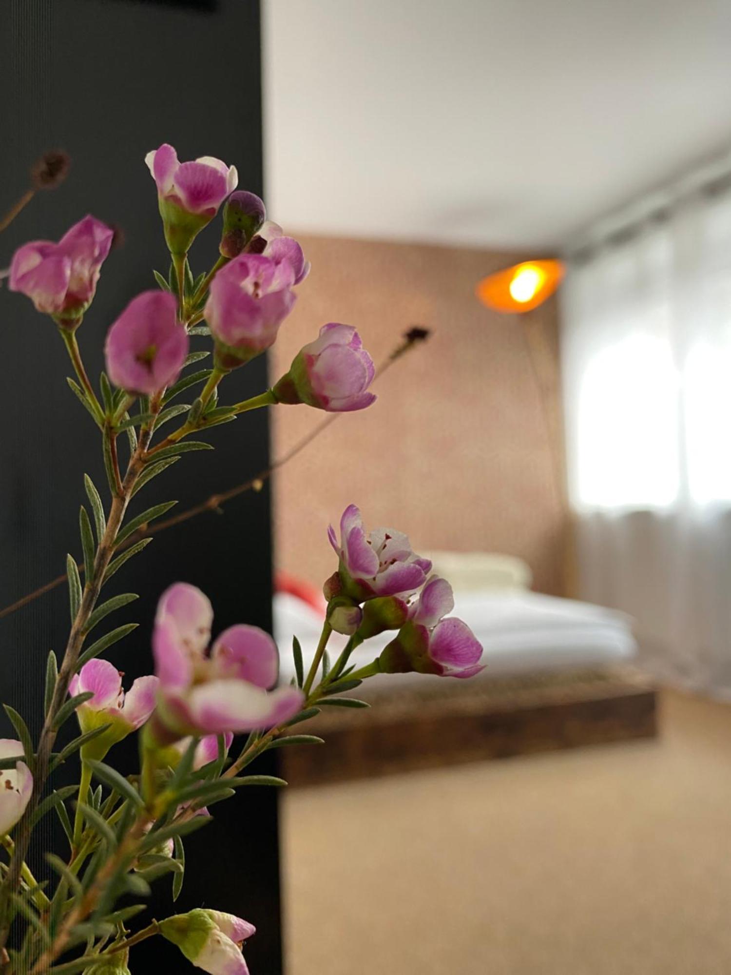 Privartzimmer 'Ausfahrt Freihalten' Husum  Eksteriør bilde