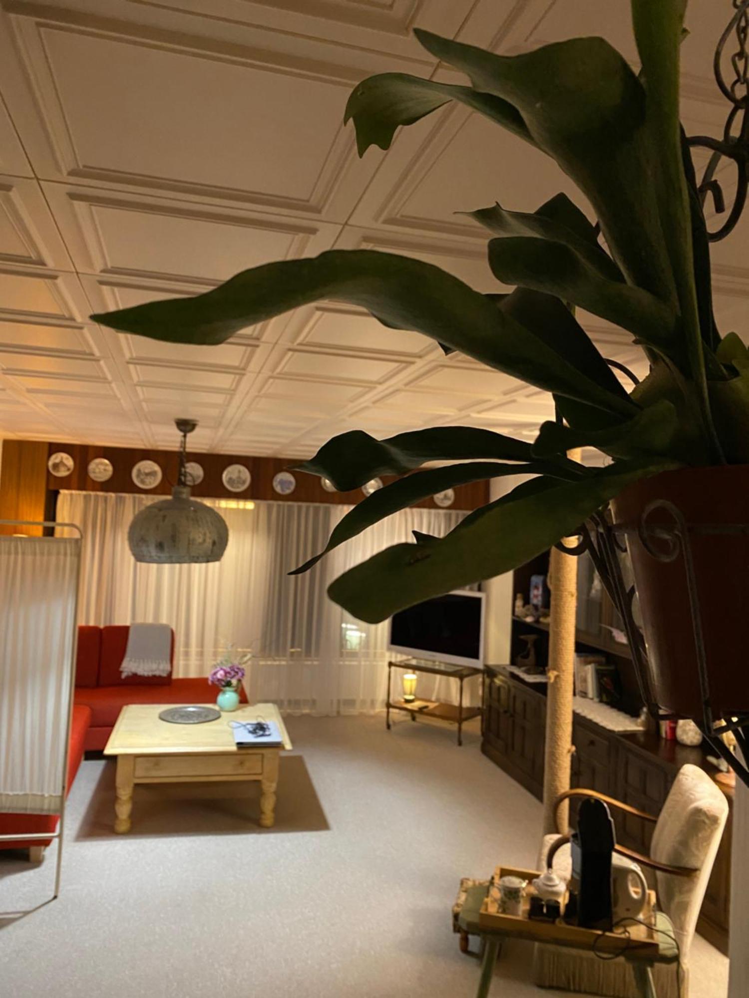Privartzimmer 'Ausfahrt Freihalten' Husum  Eksteriør bilde